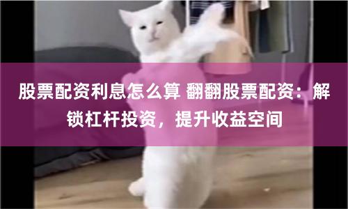 配资查询网站
